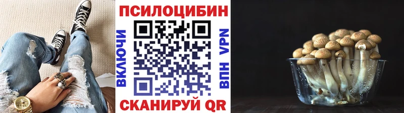 купить закладку  Балаково  Галлюциногенные грибы GOLDEN TEACHER 