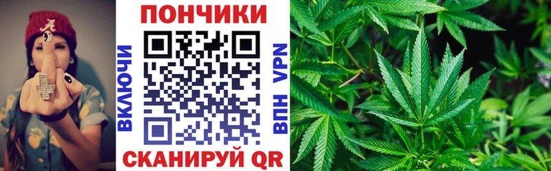 Бошки марихуана марихуана  Балаково 